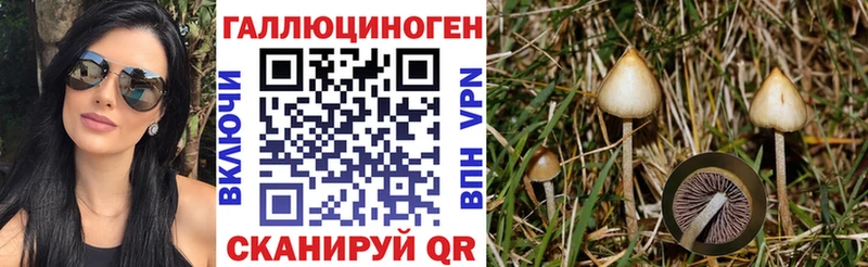 Галлюциногенные грибы Psilocybe сайты даркнета Telegram Темрюк купить